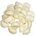 Freeze Garlic Cloves That Are Peeled